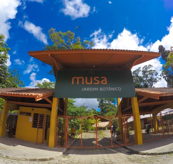 MUSA – Amazonian Museum