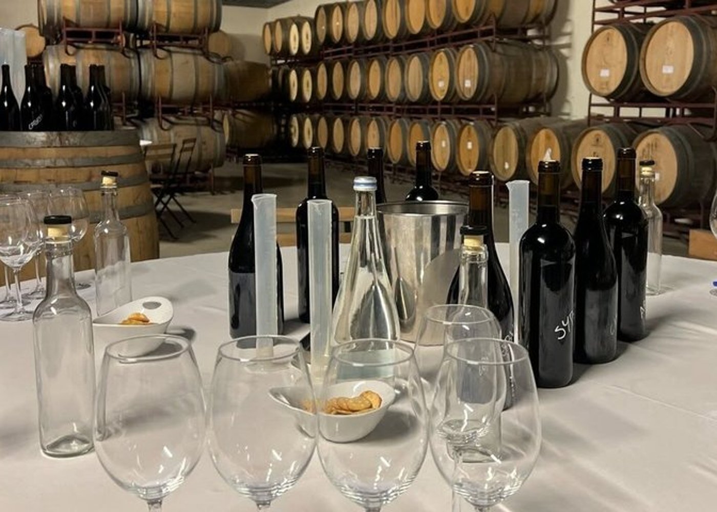 Setúbal Private Wine Experience Two Wineries and Tastings - 22