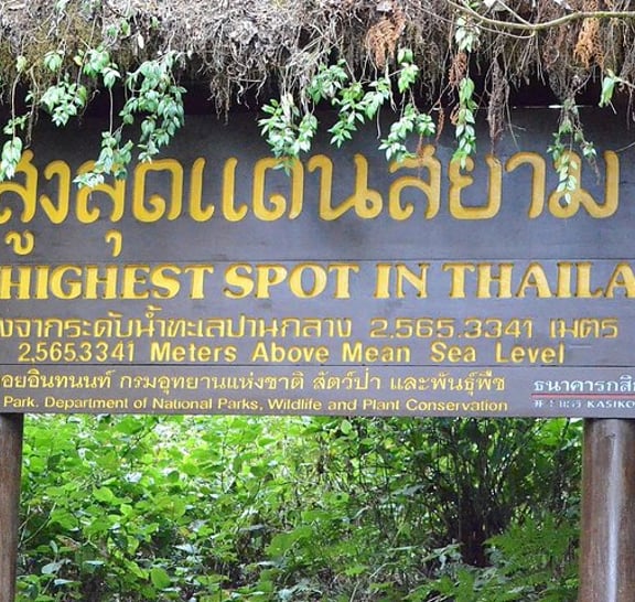 Mount Doi Inthanon Hiking & Bird Watching