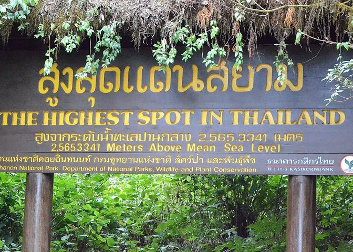Mount Doi Inthanon Wandern & Vogelbeobachtung - 7