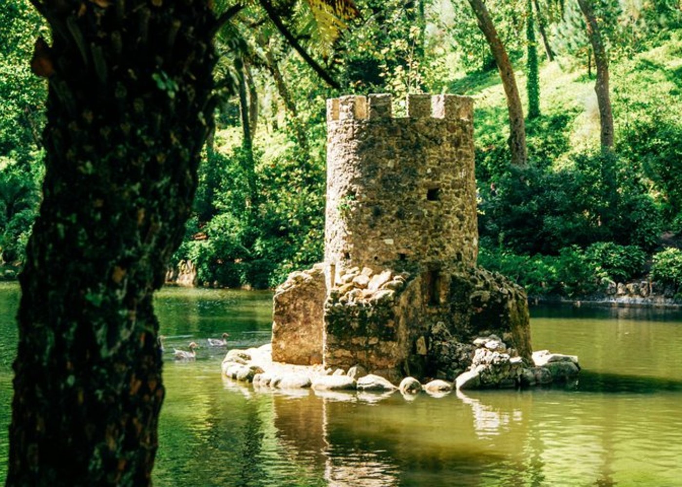 From Lisbon to Sintra: Private Half-Day Tour, including Pena Palace entrance ticket - 5