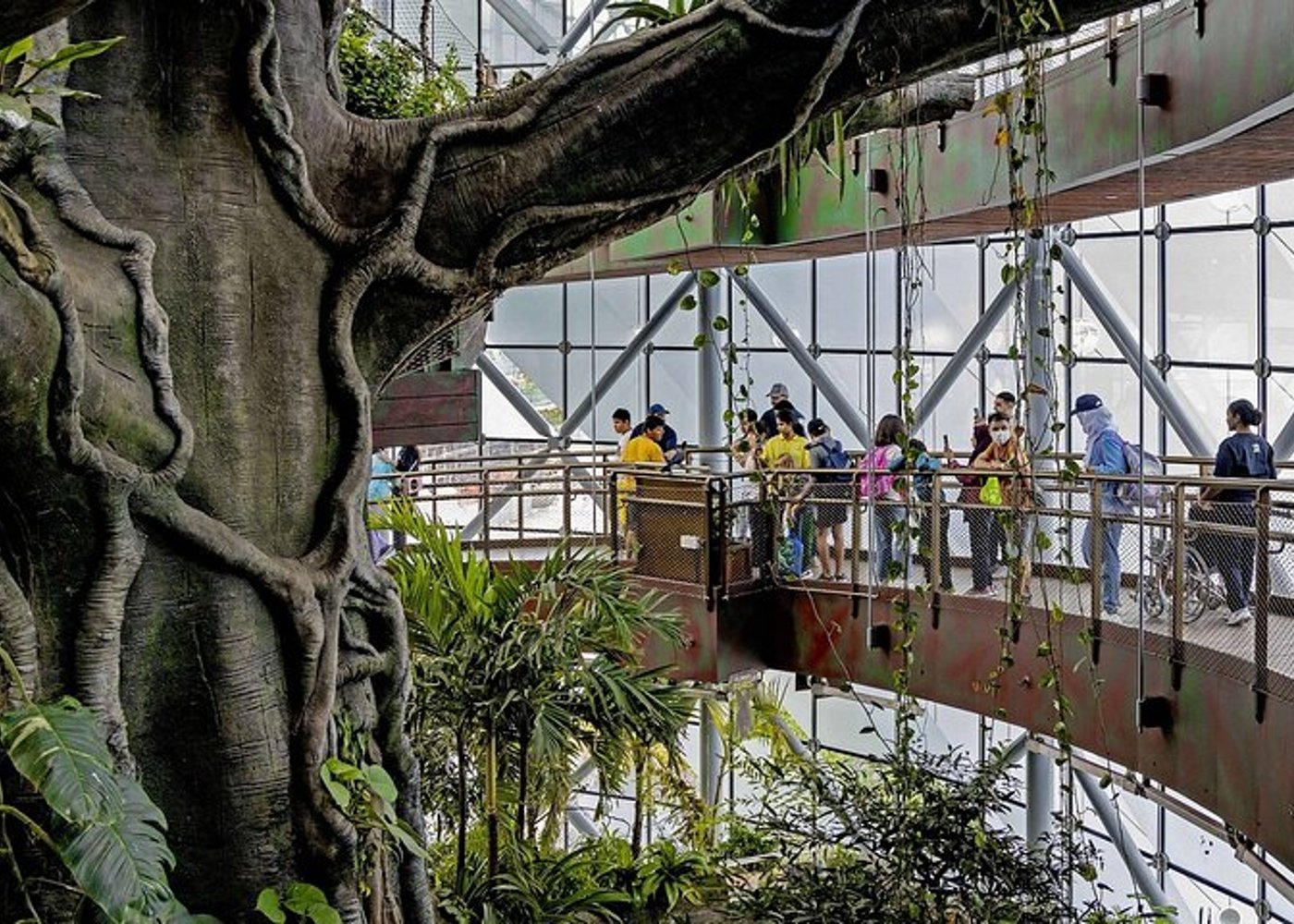 Ticket to The Green Planet in Dubai  - 9