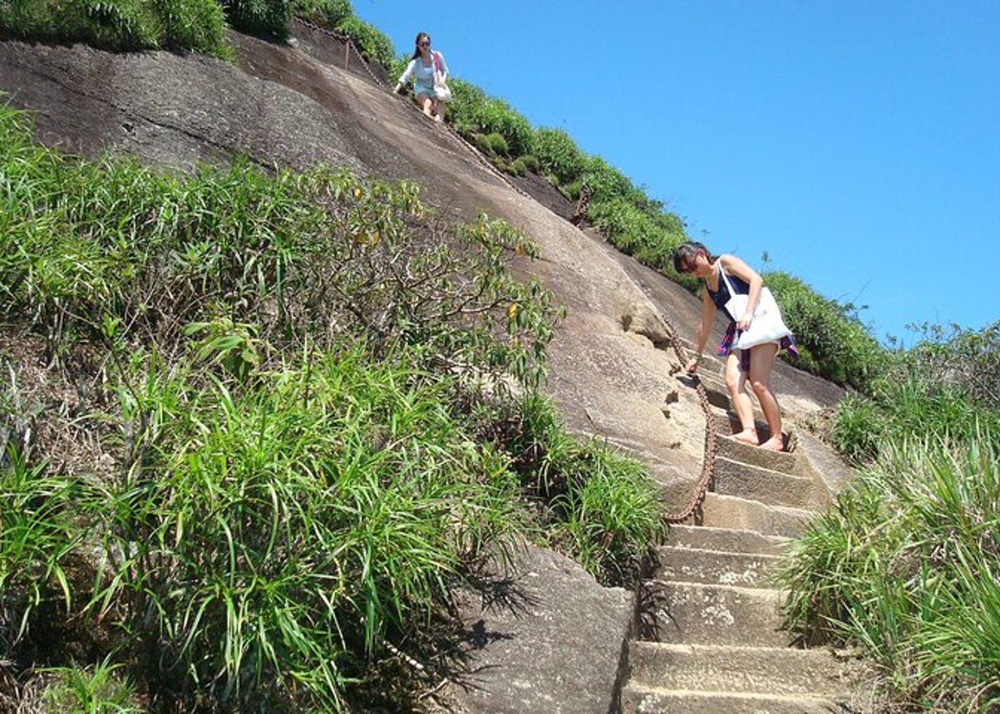 Tijuca's Peak Hiking Tour + National Park - 11
