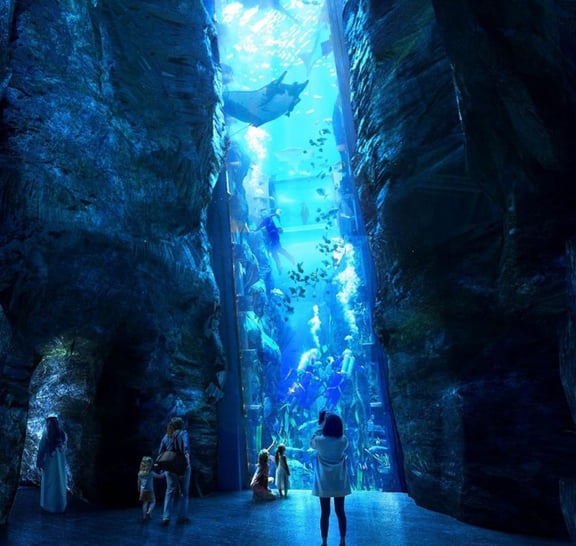 SEAWORLD Abu Dhabi Entrance Tickets