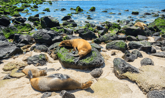 Trabzon Nature & Wildlife – Immerse Yourself in the Beauty of the Black Sea1