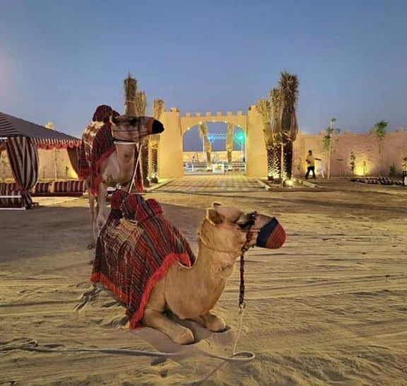 Luxuriöses Platin-Wüstensafari-Erlebnis in Dubai