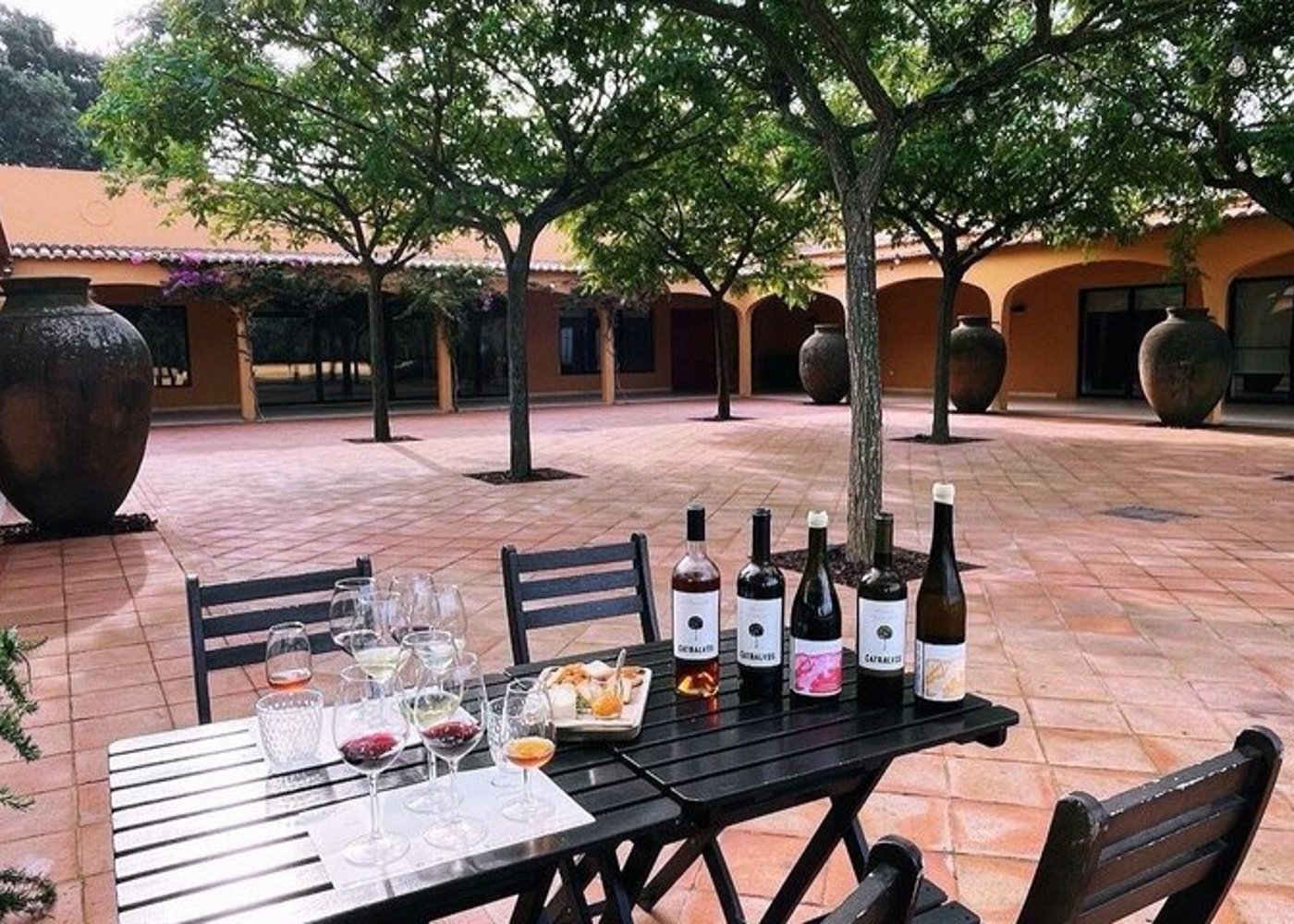 From Lisbon: Arrábida & Sesimbra Private Day Trip – Wine & Nature - 2