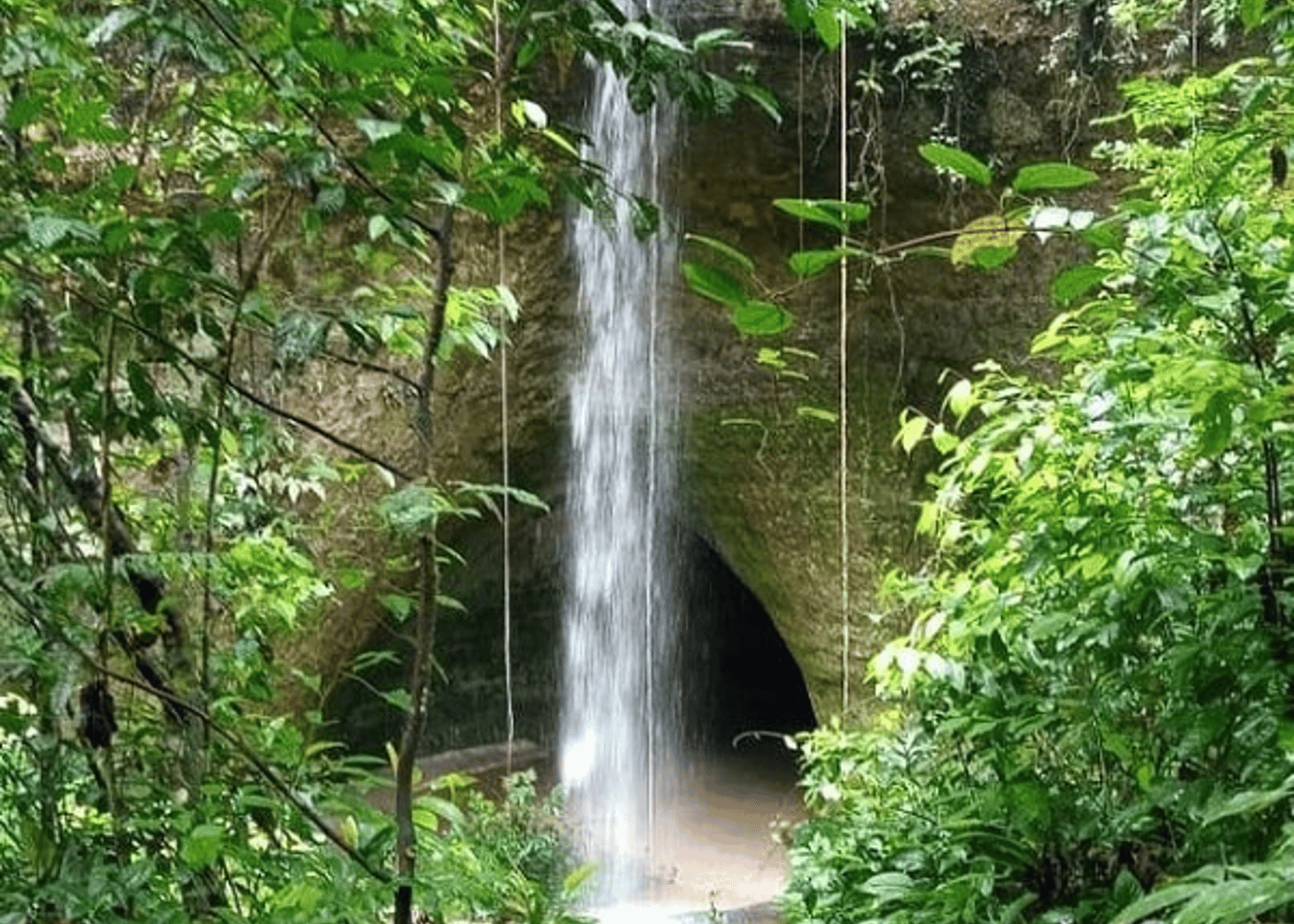 Amazon Waterfalls (Presidente Figueiredo) - 6