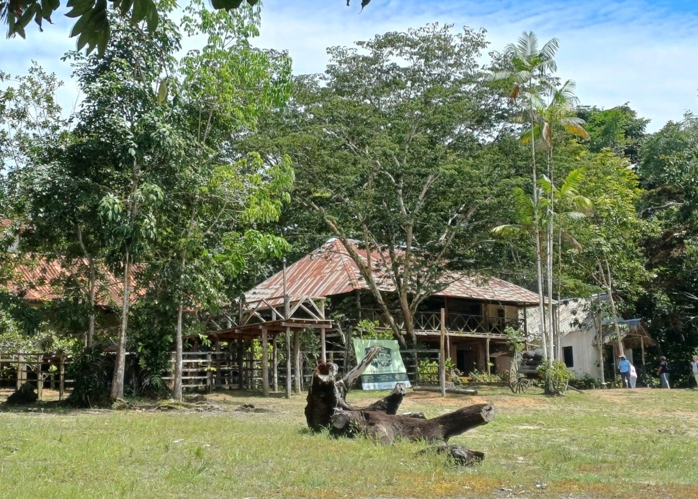 Rubber Plantation Museum Vila Paraiso - 10