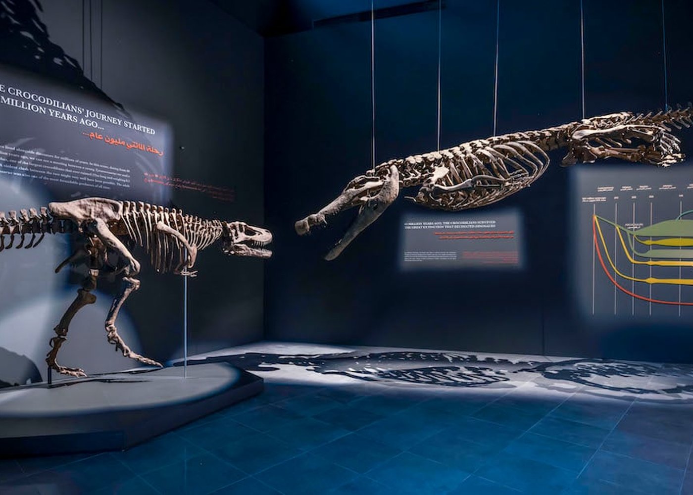 Dubai Crocodile Park, Dubai Mall Shopping, Burj Khalifa 124/125th floor and Musical Fountain Show tour with Private Transfers - 4