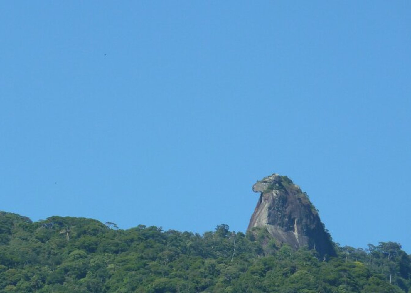 Ilha Grande Hiking Tour – Lopes Mendes beach - 5