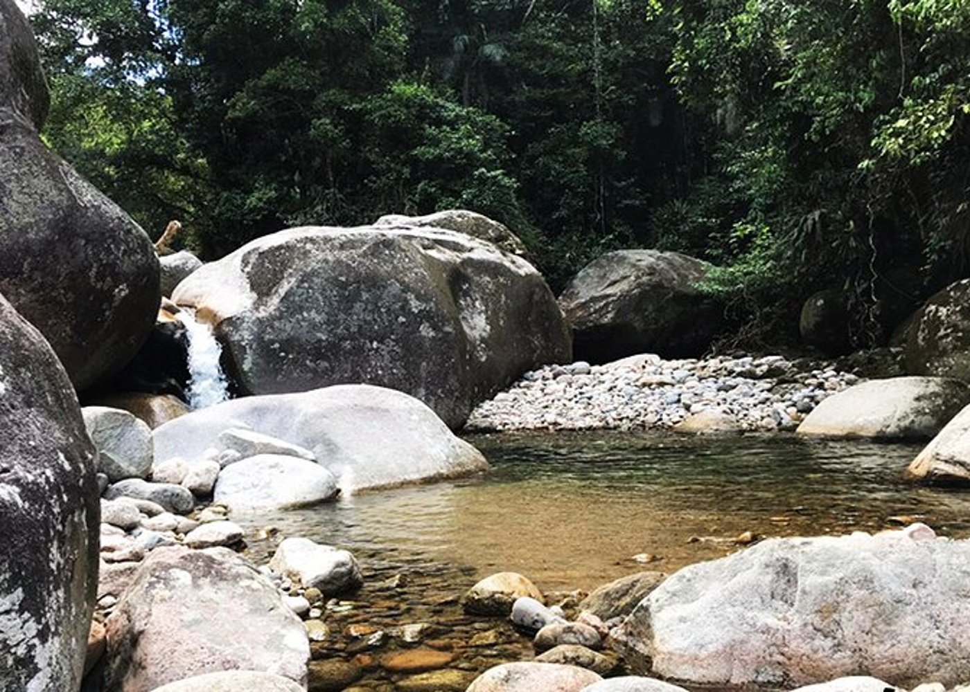 Serra dos Orgaos National Park – EcoTour - 10