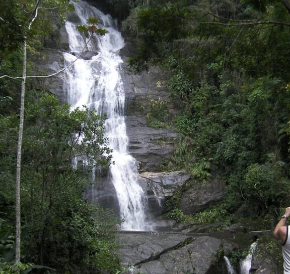 Tijuca's National Park - Eco Hiking Tour