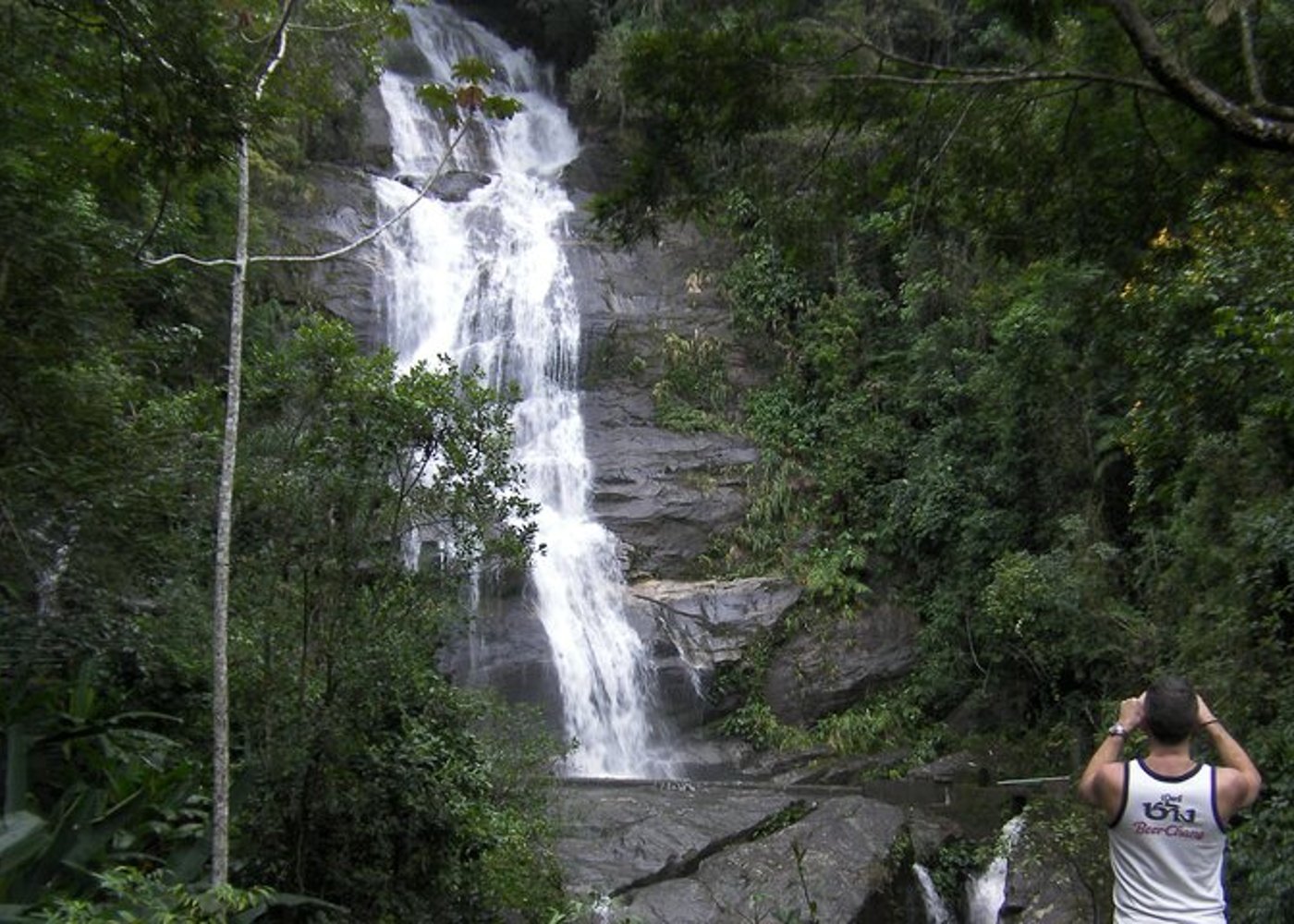 Tijuca's National Park - Eco Hiking Tour - 2