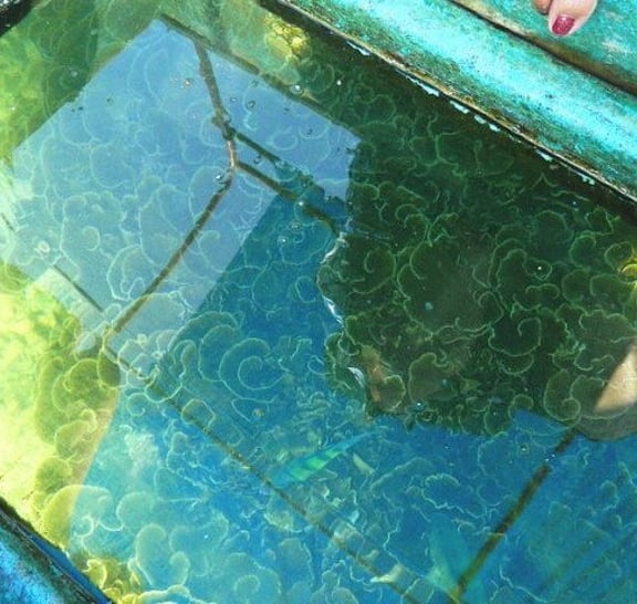 Private Glass Bottom Boat Ride in Trincomalee Beach Colombo