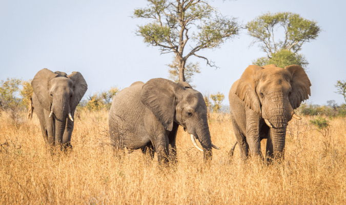 Trabzon Nature & Wildlife – Immerse Yourself in the Beauty of the Black Sea1