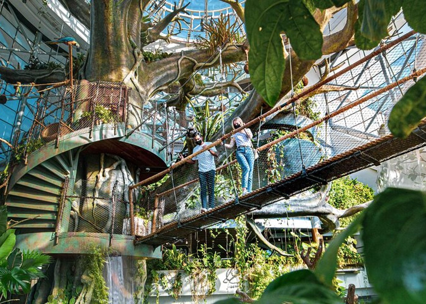 Ticket to The Green Planet in Dubai  - 4