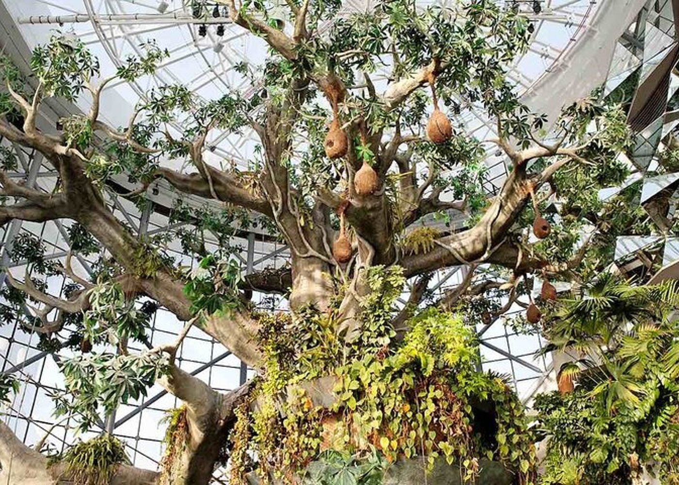 Ticket to The Green Planet in Dubai  - 7