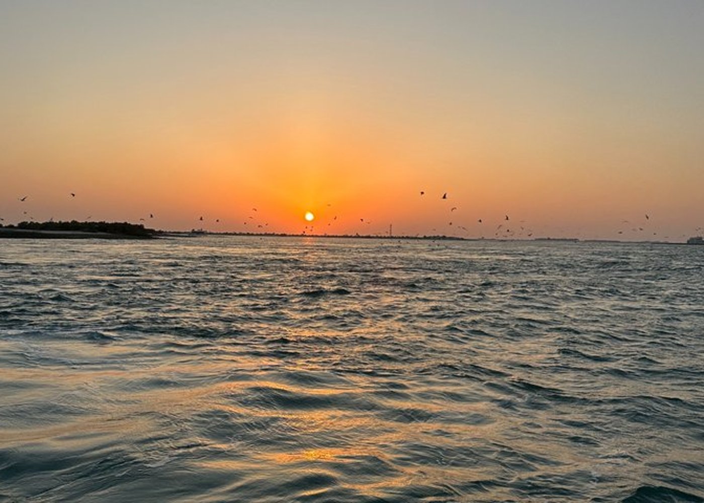 Private Sunset Cruise at Al Bateen Abu Dhabi - 2