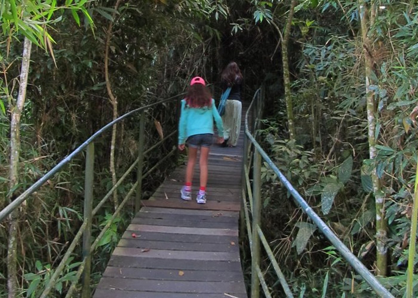 Serra dos Orgaos National Park – EcoTour - 2
