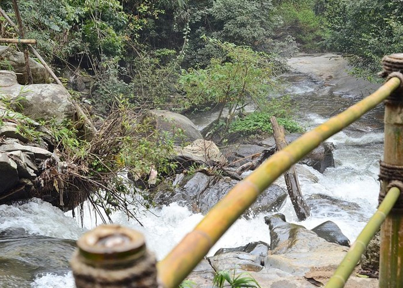 Mount Doi Inthanon Wandern & Vogelbeobachtung - 6
