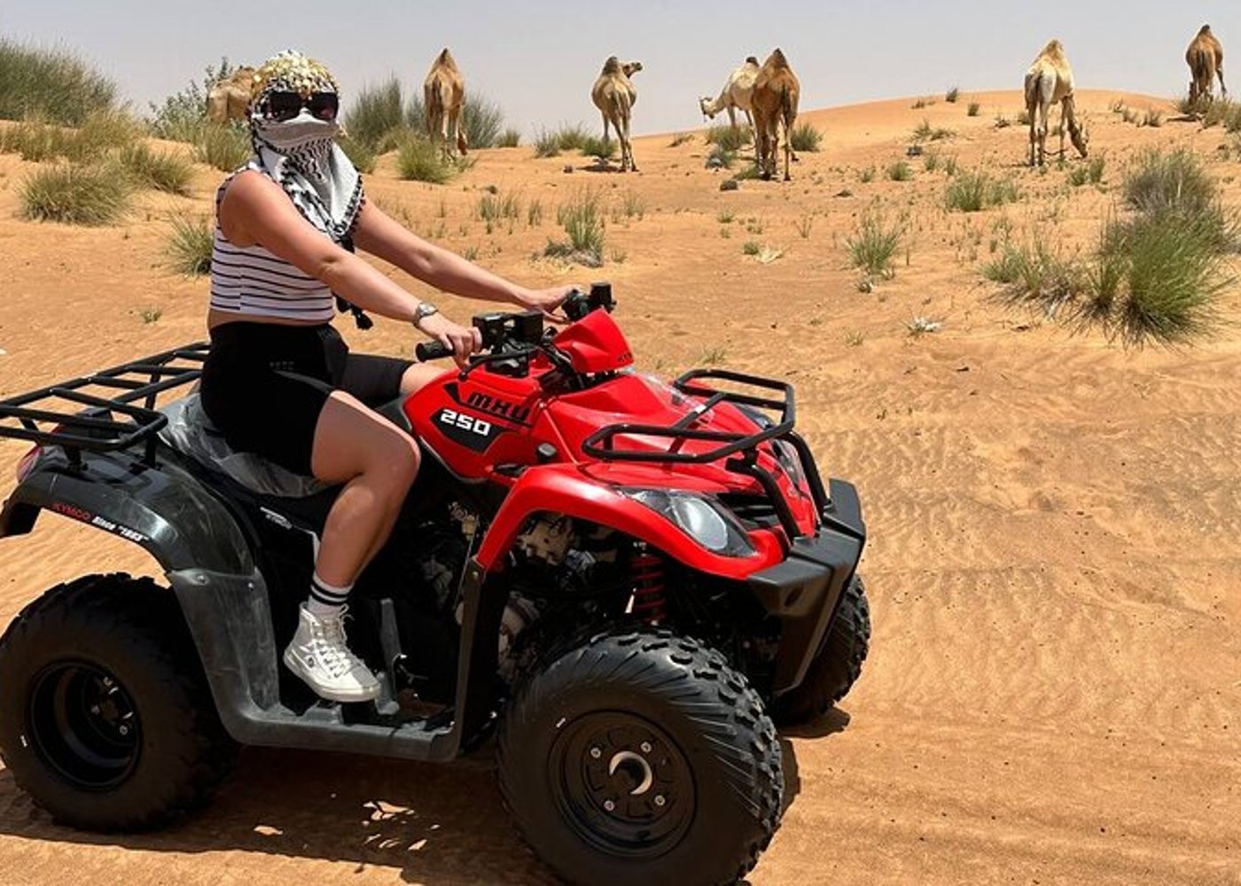 Dubai: Quad Bike, Dune Buggy, and Sandboarding Experience - 10