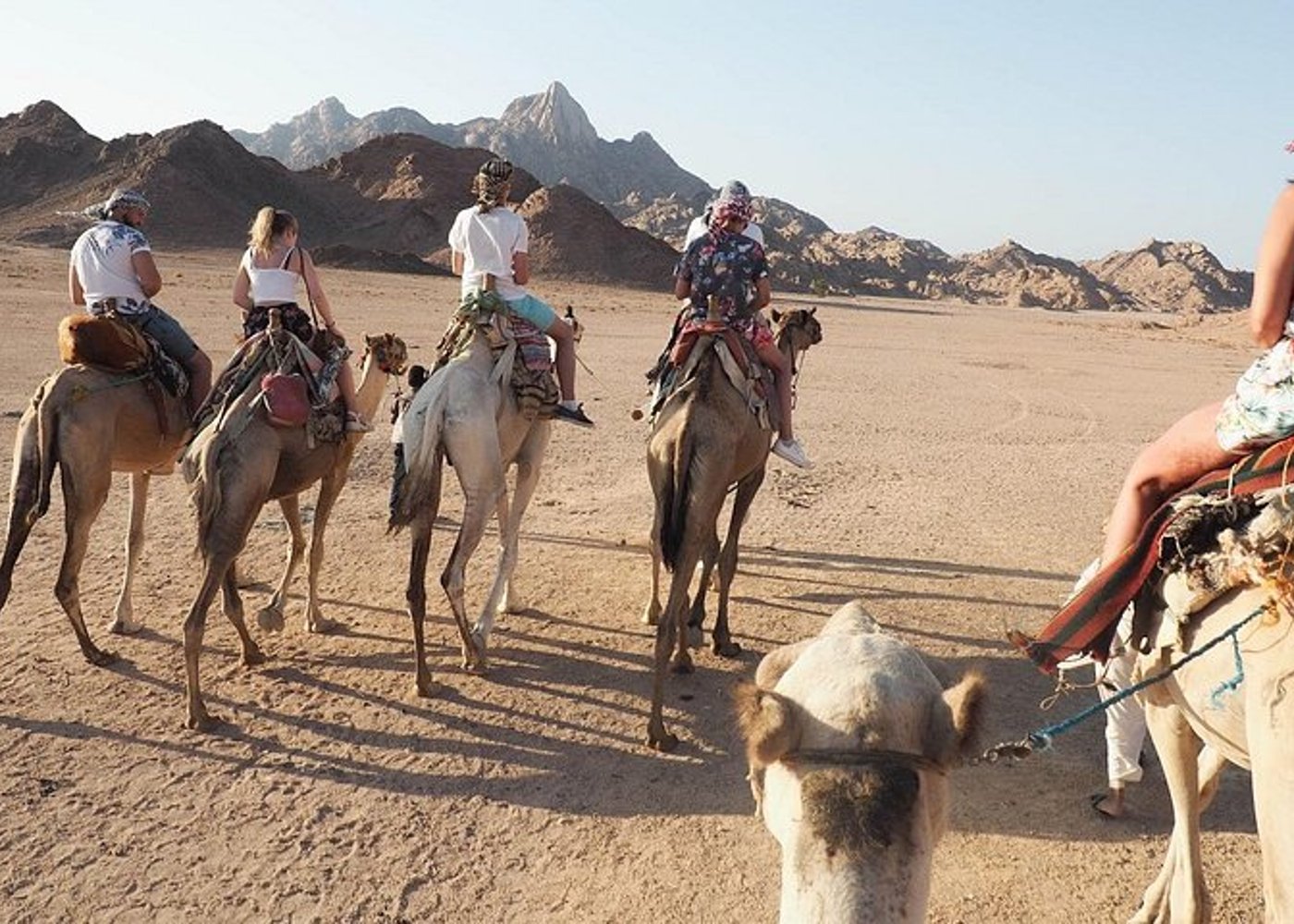 Sunset Desert Quad Bike Safari with Camel Ride and Bedouin Dinner From Hurghada - 3
