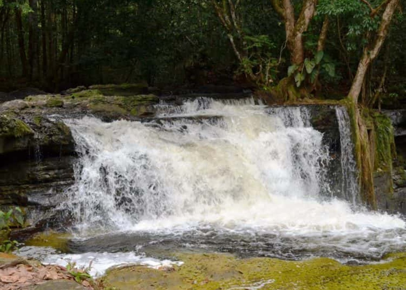 Amazon Waterfalls (Presidente Figueiredo) - 2