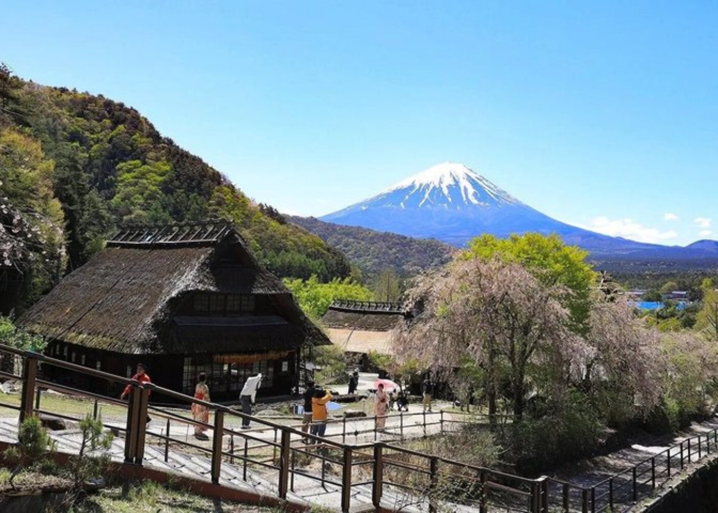 Góra Fudżi,Saiko Iyashi-no-Sato Nenba&Jezioro Kawaguchi - 4