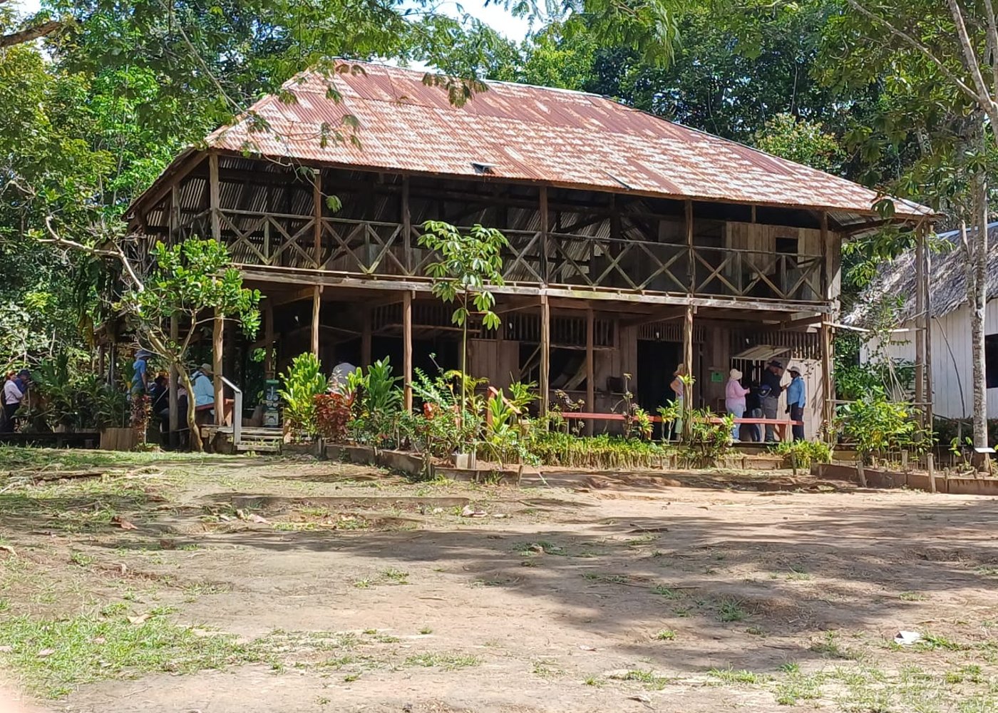 Rubber Plantation Museum Vila Paraiso - 8