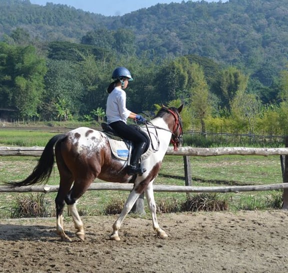Horse Lesson+Riding+Wat Tonkwen wooden temple.Chiangmai