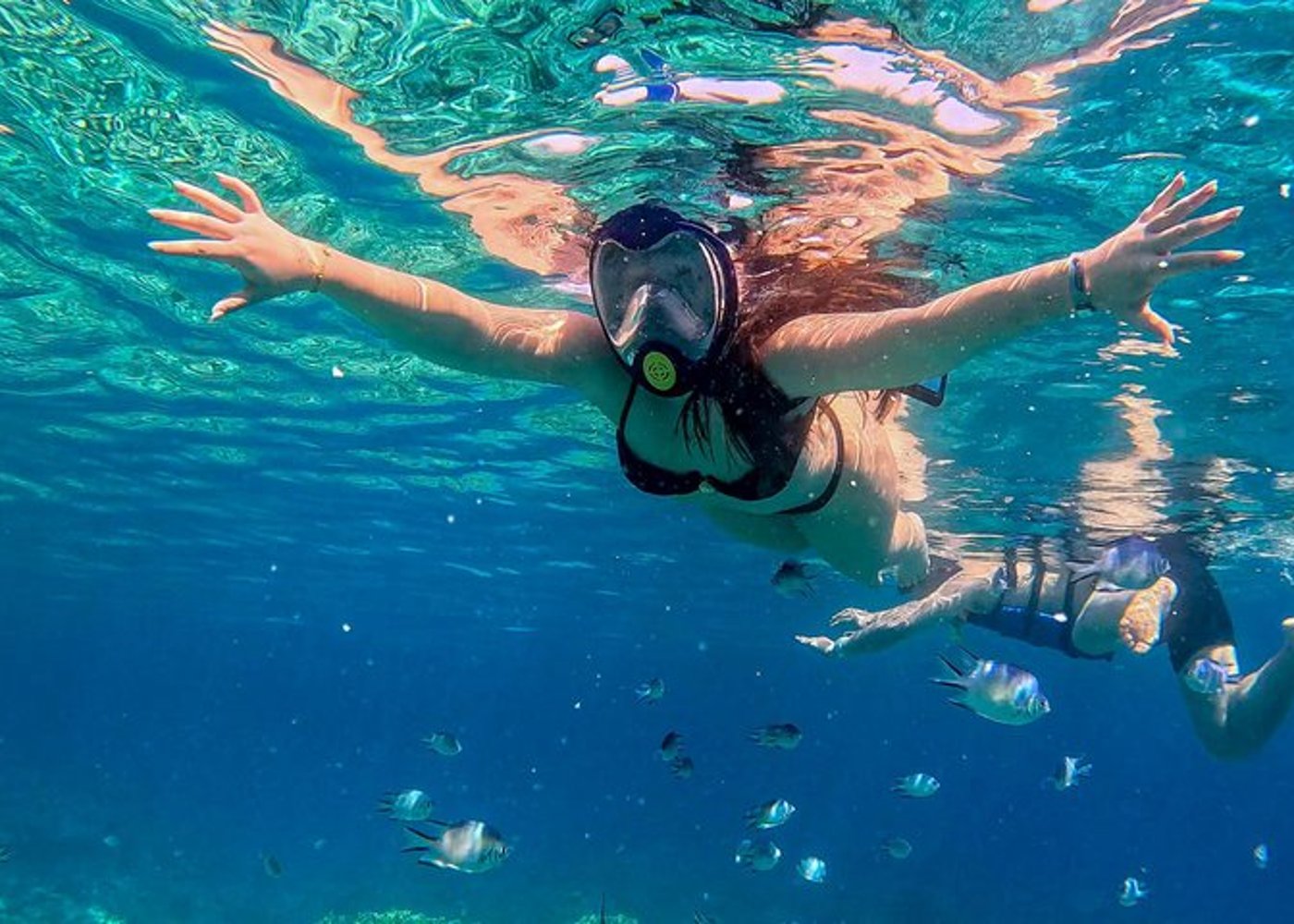 Premium VIP Dolphin House Przygoda ze snorkelingiem & Lunch - Hurghada - 44