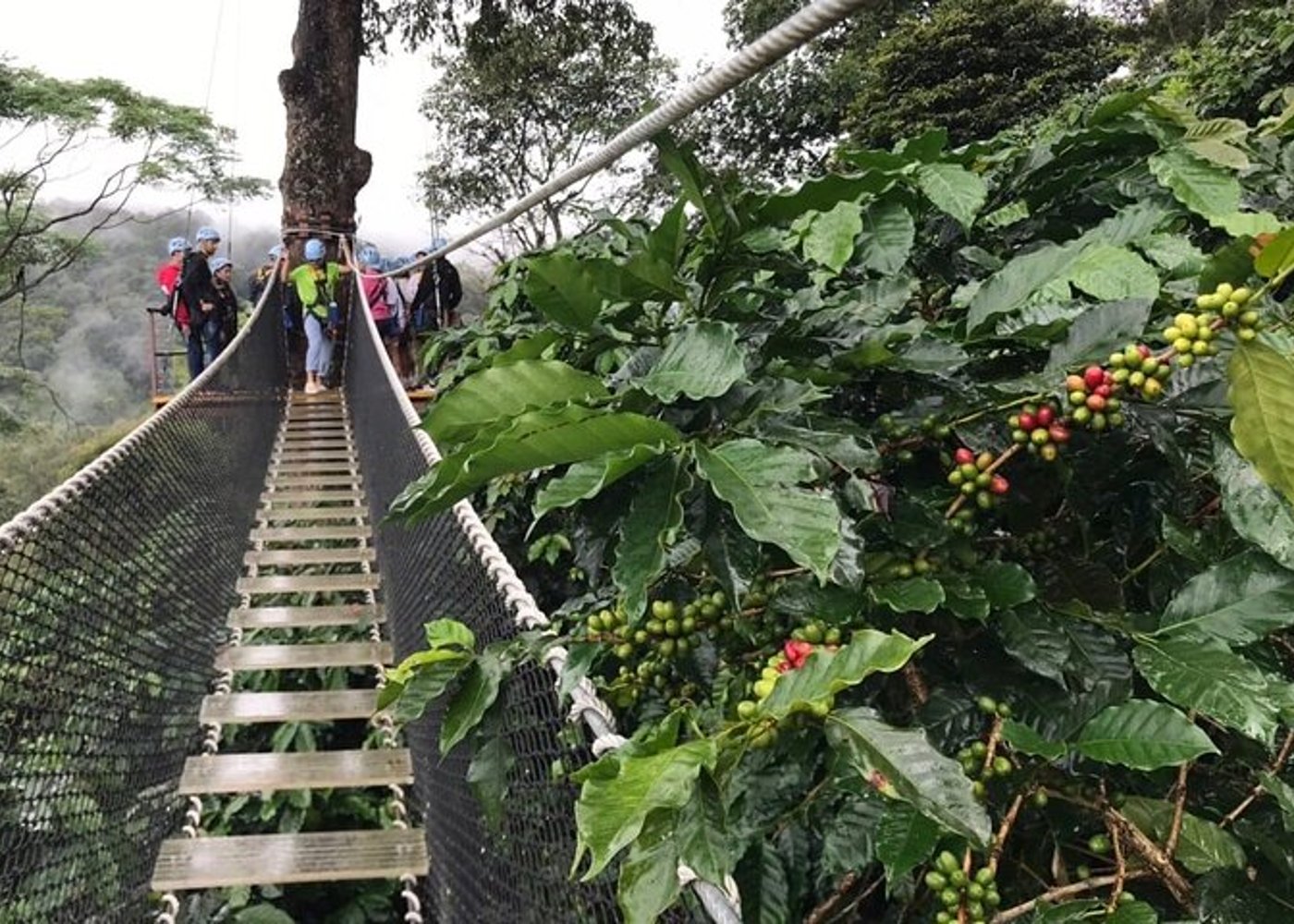 Extrem-Zipline und Klebriger Wasserfall Privattour - 8