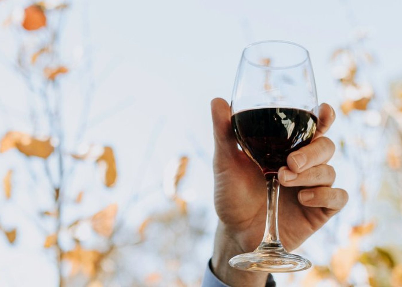 From Lisbon: Arrábida & Sesimbra Private Day Trip – Wine & Nature - 21