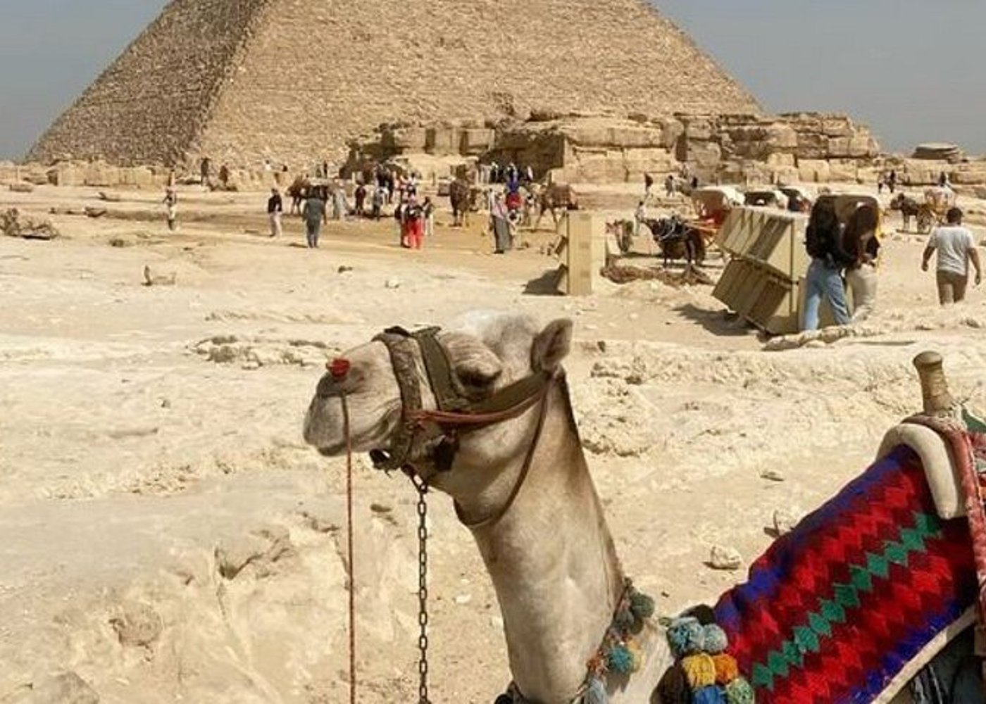 VIP Alexandria Port Landausflug zu den Pyramiden von Gizeh, Sphinx, GEM - 24