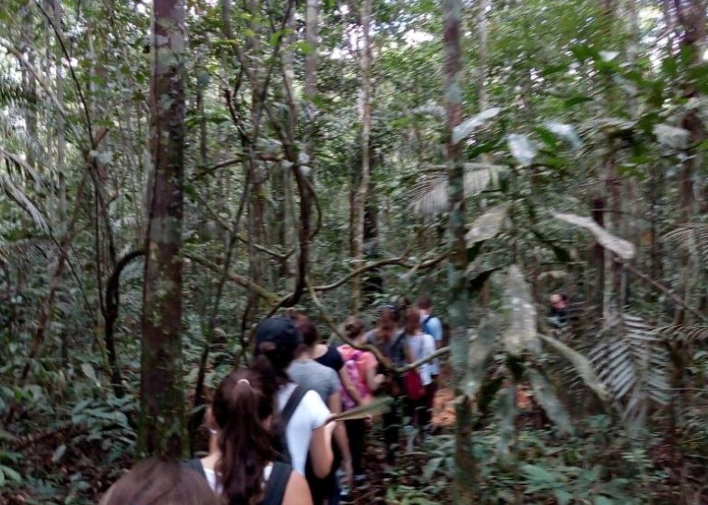 Jungle Adventure Tour [3 days and 2 nights ] - 6