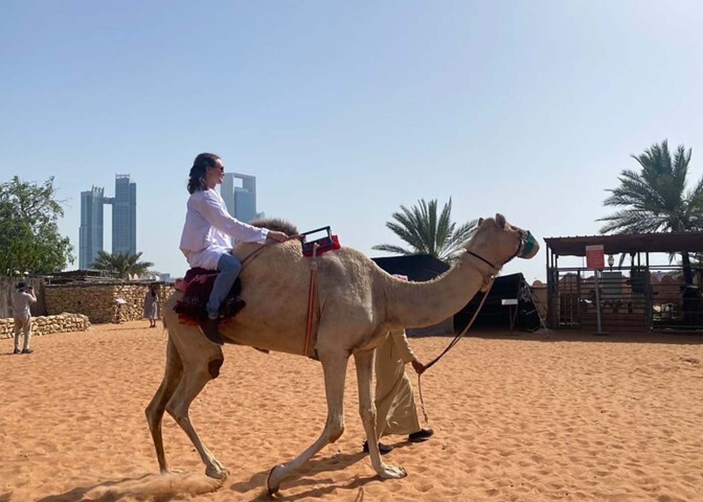 Private Full-Day Tour in Abu Dhabi - 10
