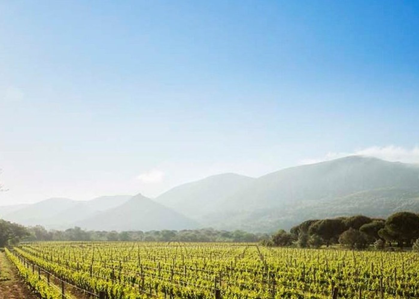 Setúbal Private Wine Experience Two Wineries and Tastings - 6