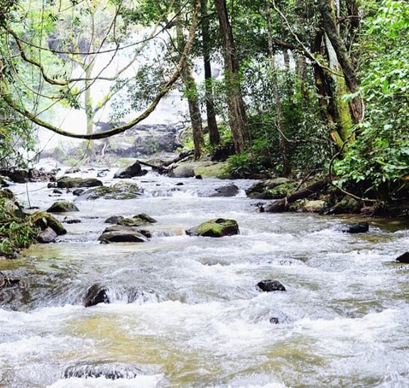 Mount Doi Inthanon National Park Sunrise and Hiking