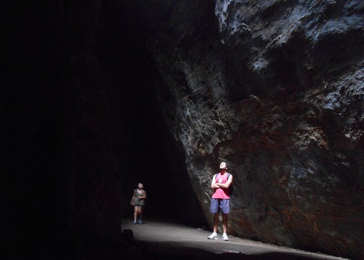 Tijuca's National Park - Eco Hiking Tour - 6