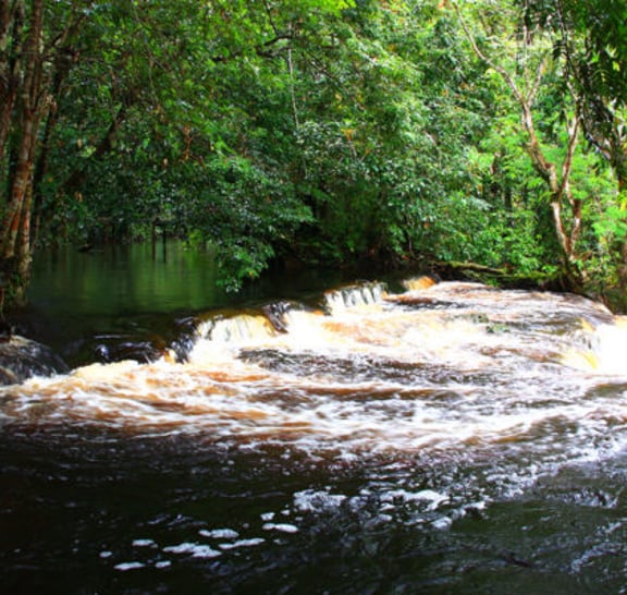 Amazon Waterfalls (Presidente Figueiredo)