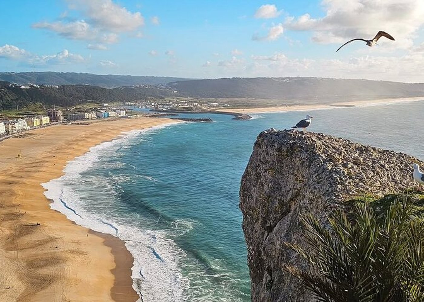 Z Lizbony: Prywatna wycieczka jednodniowa do Nazaré – Surfing na wielkich falach - 13
