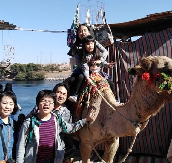 Private Day Tour to Aswan Highlights and Nubian Village from Luxor by Train