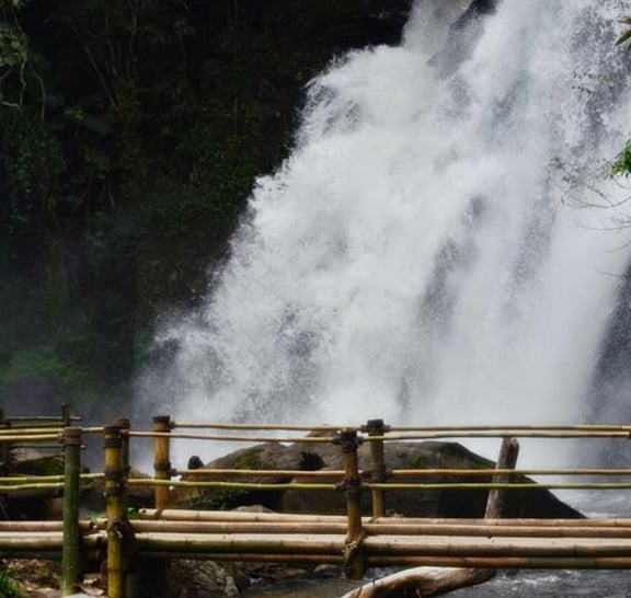 Mount Doi Inthanon Hiking & Bird Watching