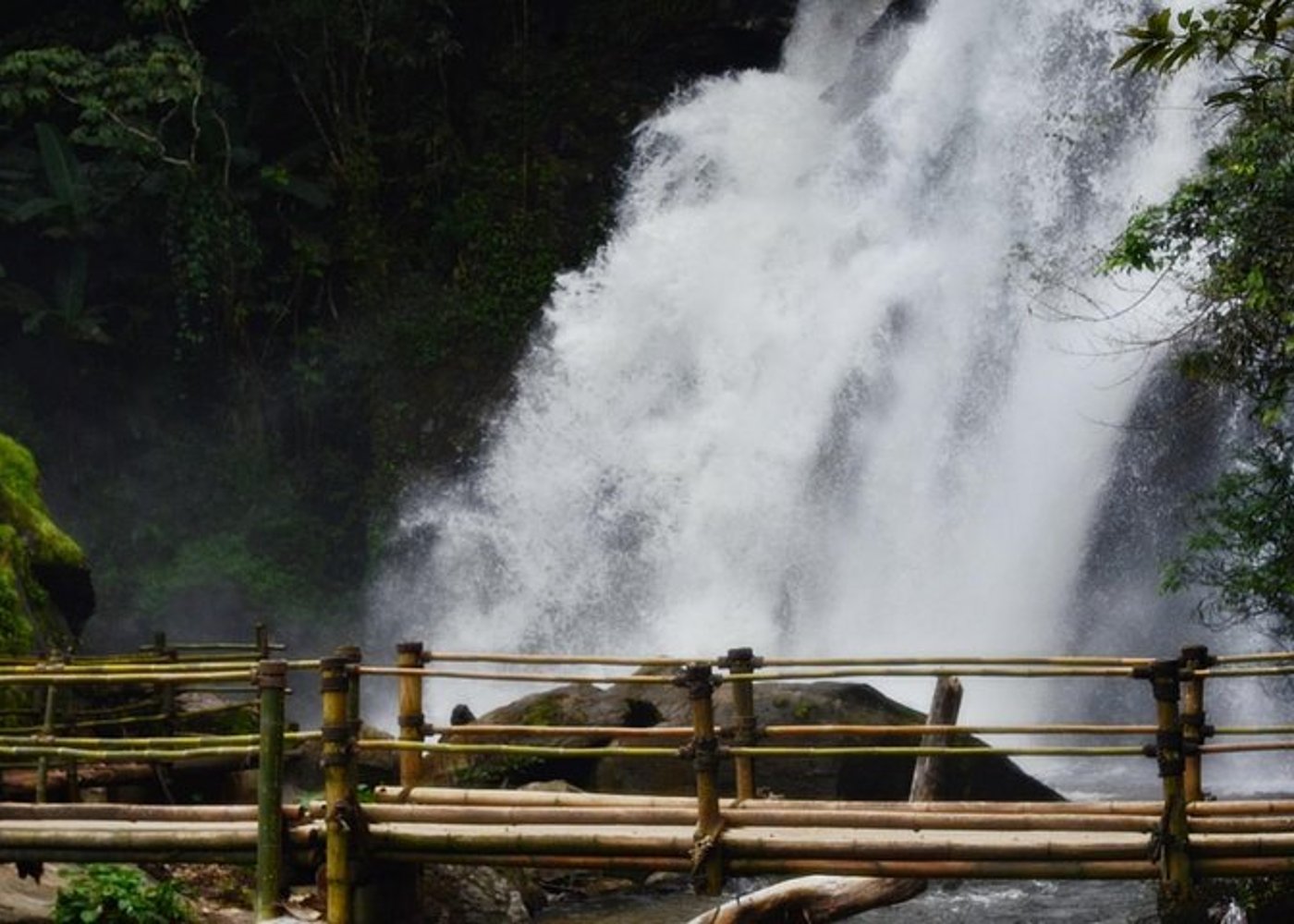 Mount Doi Inthanon Wandern & Vogelbeobachtung - 5