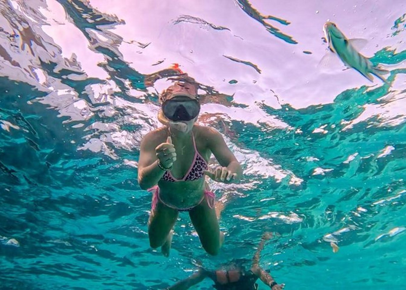 Premium VIP Dolphin House Przygoda ze snorkelingiem & Lunch - Hurghada - 16