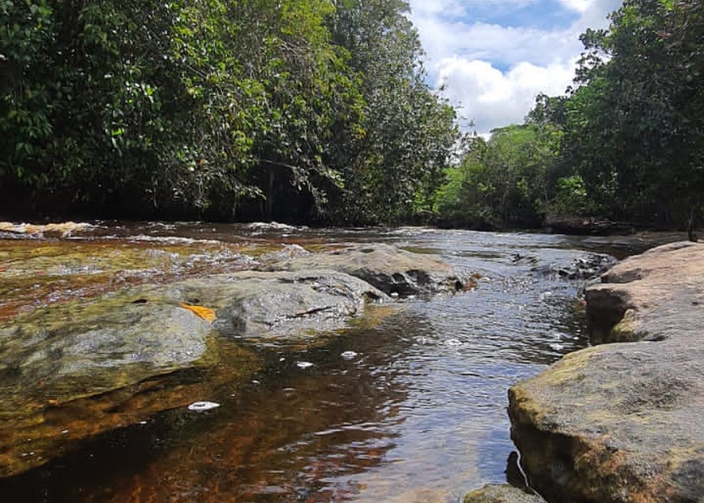 Jungle Adventure Tour [3 days and 2 nights ] - 5