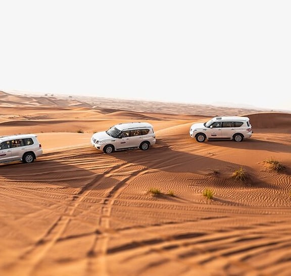 Dubai: Sandboarding, Camel Ride and Red Dune Bashing Safari