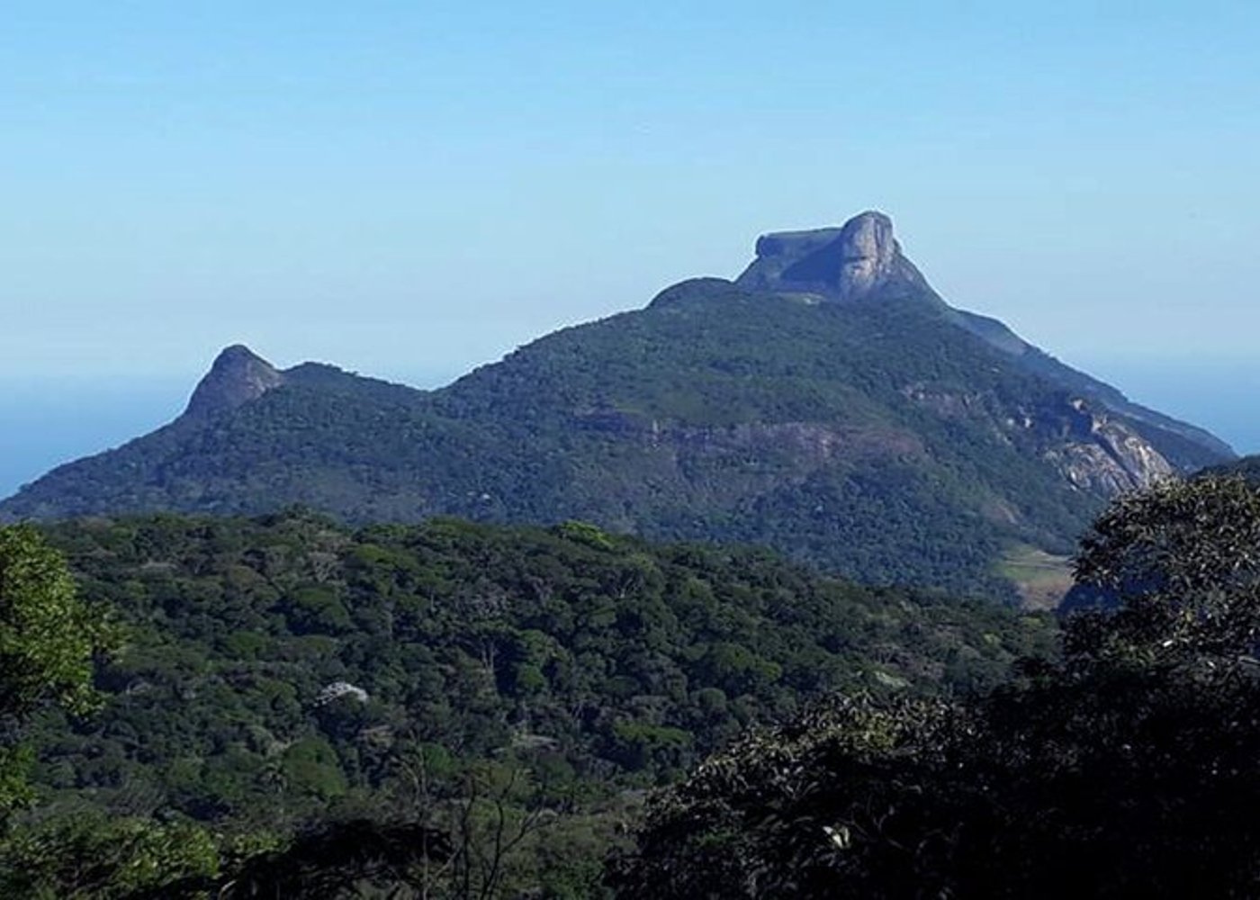 Tijuca's National Park - Eco Hiking Tour - 5
