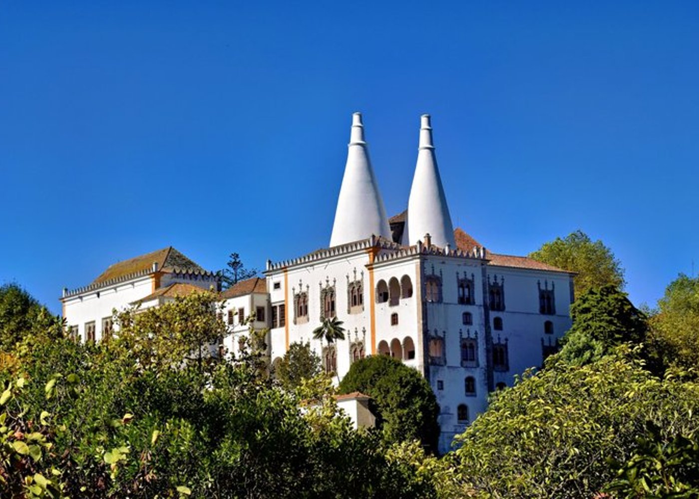 From Lisbon to Sintra: Private Half-Day Tour, including Pena Palace entrance ticket - 8